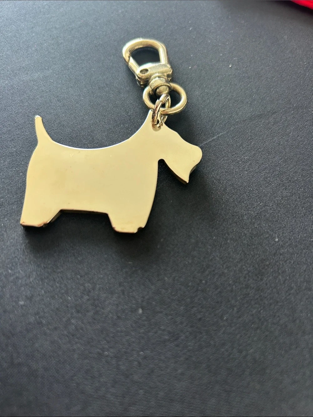 Carolina Herrera polished dog